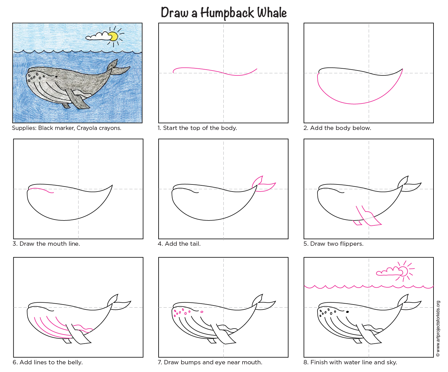 Draw a Humpback Whale Art Projects for Kids