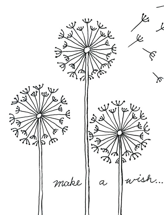 dandelion coloring pages - photo #32