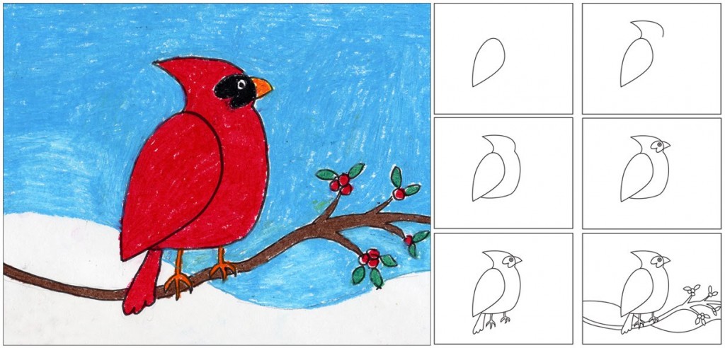 drawing-lesson-how-to-draw-a-cardinal-youtube