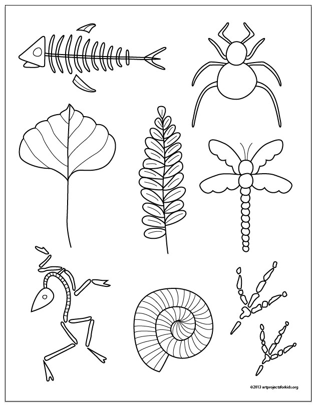 Fossil Drawings · Art Projects for Kids