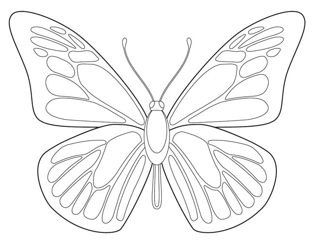 Butterfly Outline 650