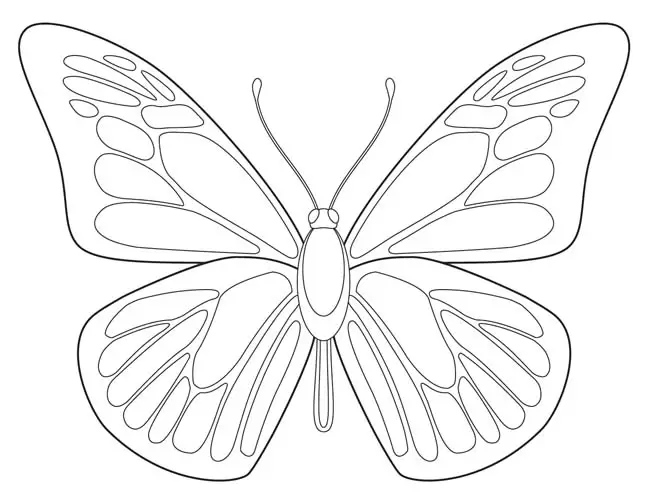 Butterfly Outline 650.jpg — Activity Craft Holidays, Kids, Tips