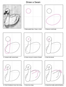 How To Draw A Swan - Art Projects for Kids