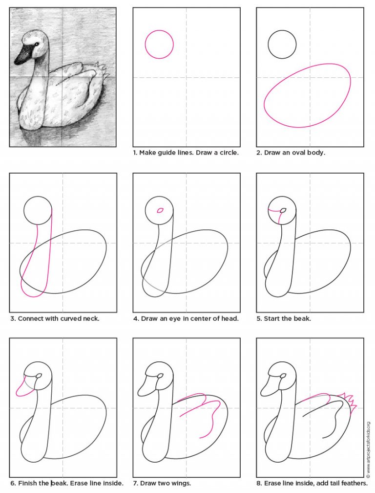 Easy How to Draw A Swan Tutorial and Swan Coloring Page