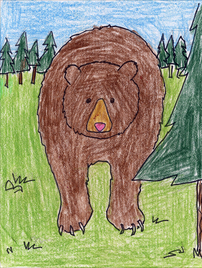 How to Draw a Grizzly Bear Easy Step by Step