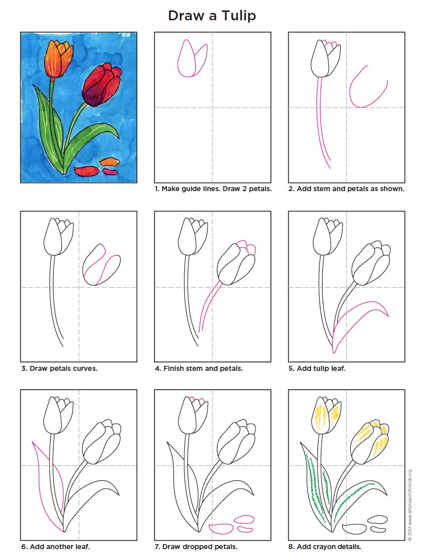 Draw a Tulip Art Projects for Kids