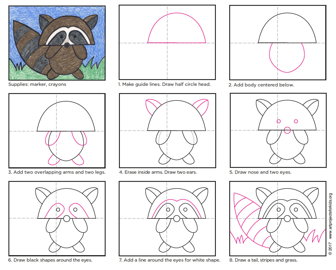 Draw an Easy Raccoon · Art Projects for Kids