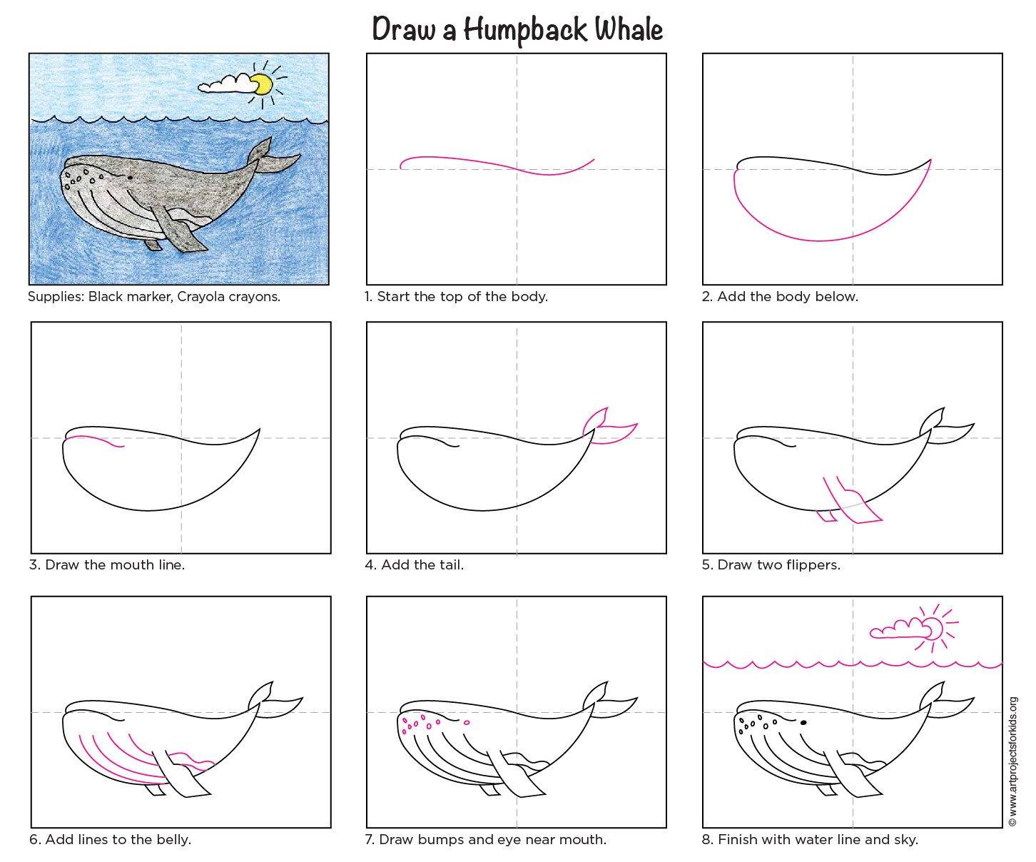 How To Draw A Whale Cartoon