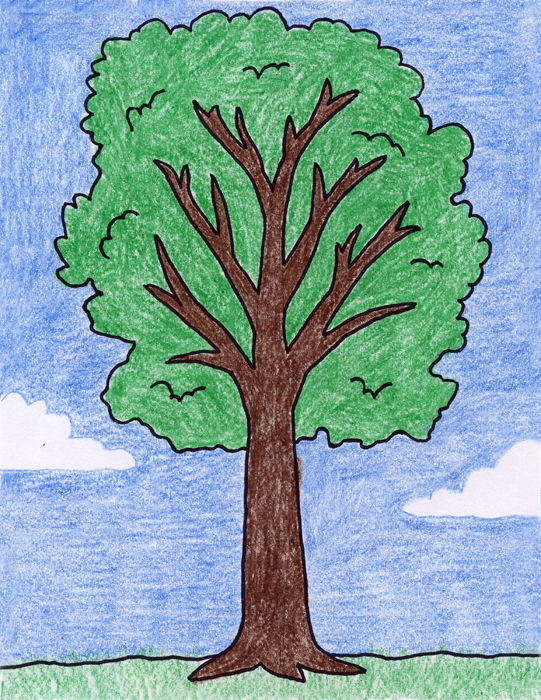 How To Draw A Tree Art Projects For Kids   Tree 700 