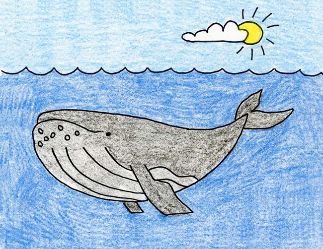 Draw a Humpback Whale · Art Projects for Kids