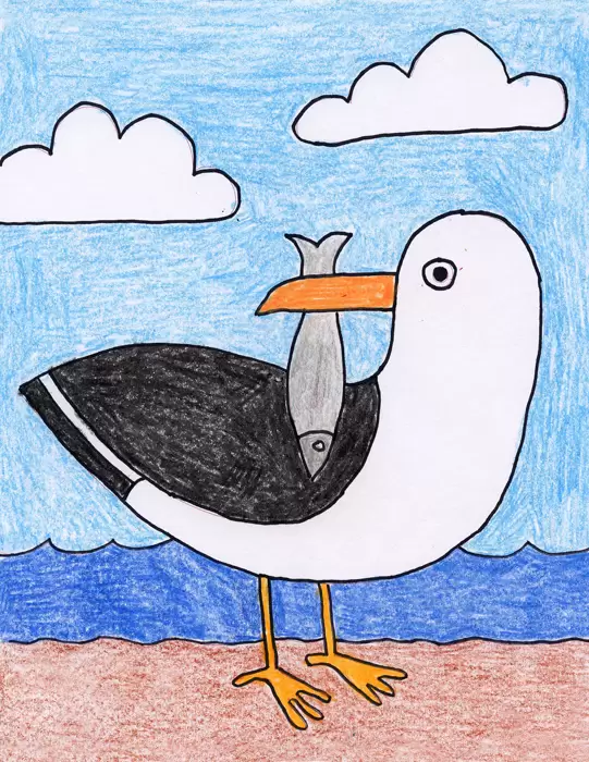 how to draw a seagull