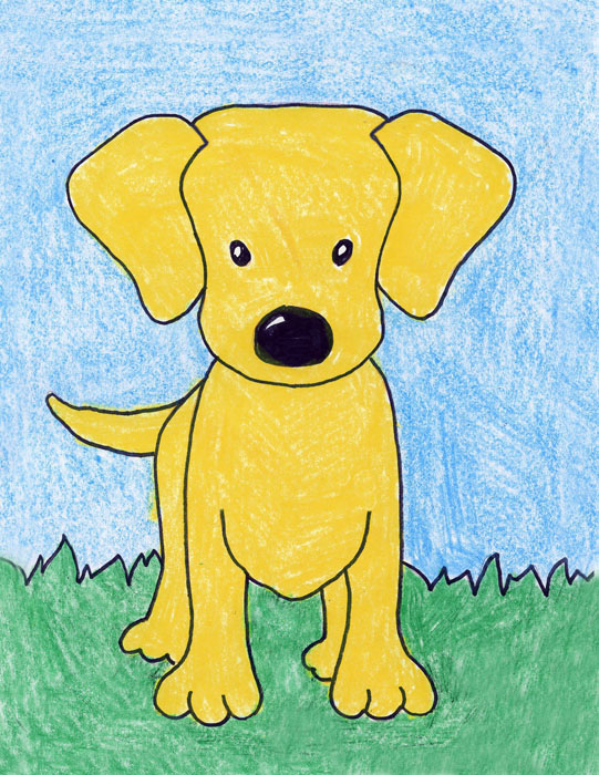 How To Draw A Labrador Dog Art Projects For Kids