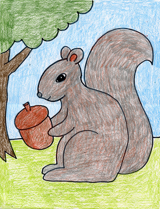 How To Draw A Squirrel Step By Step Art Projects For Kids