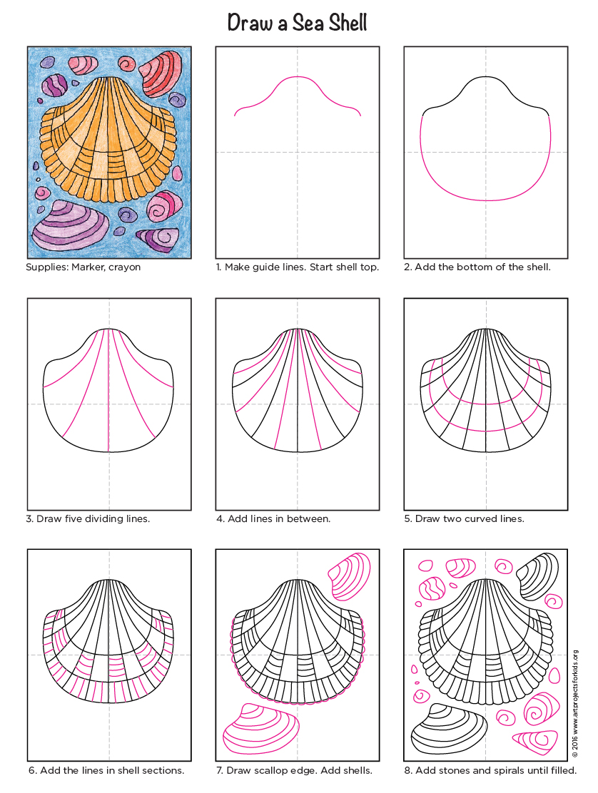 How to Draw a Sea Shell · Art Projects for Kids