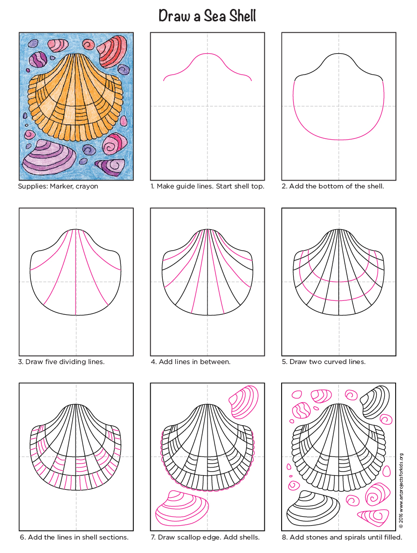 How To Draw A Sea Shell Art Projects For Kids