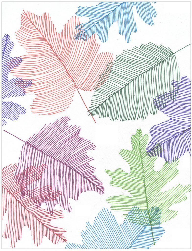 Transparent Line Art Leaves · Art Projects for Kids