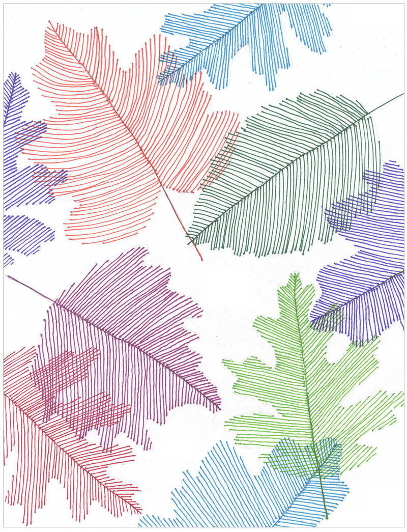 Transparent Line Art Leaves Art Projects for Kids