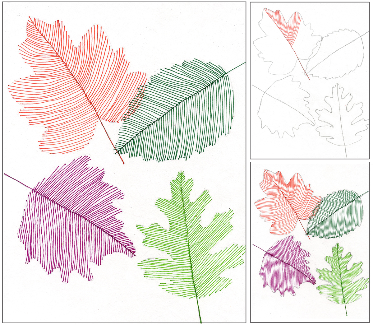 Transparent Line Art Leaves Art Projects for Kids