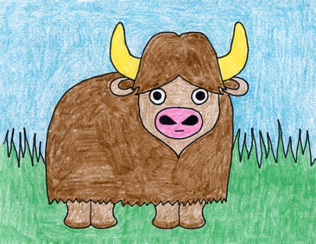 Draw a Water Buffalo · Art Projects for Kids