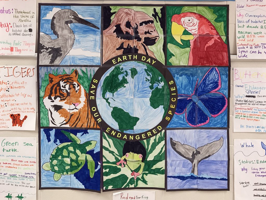 earth day bulletin board made by students