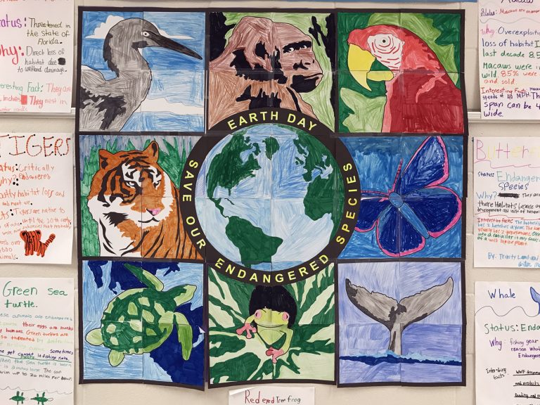 10 Earth Day Bulletin Board Ideas your Students Can Create Together