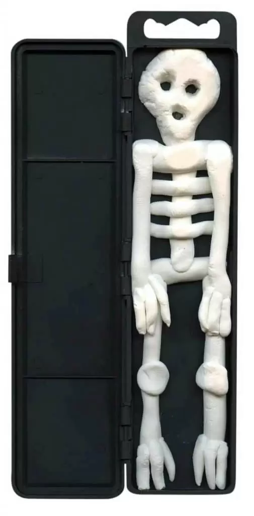Model Skeleton 8 — Activity Craft Holidays, Kids, Tips