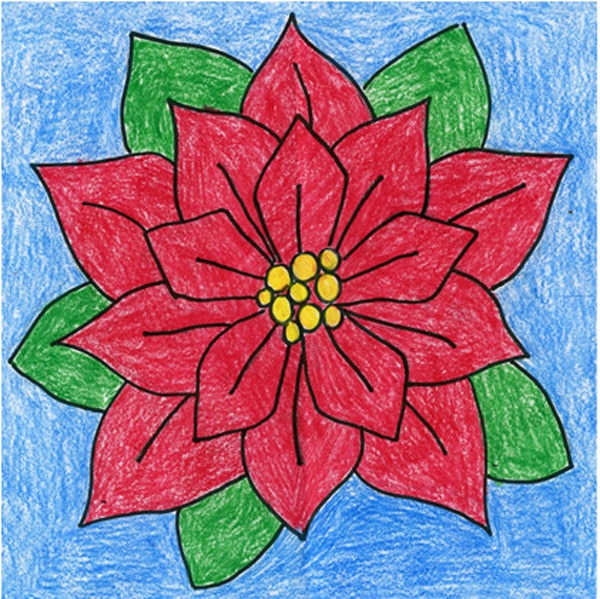 how to draw a poinsettia