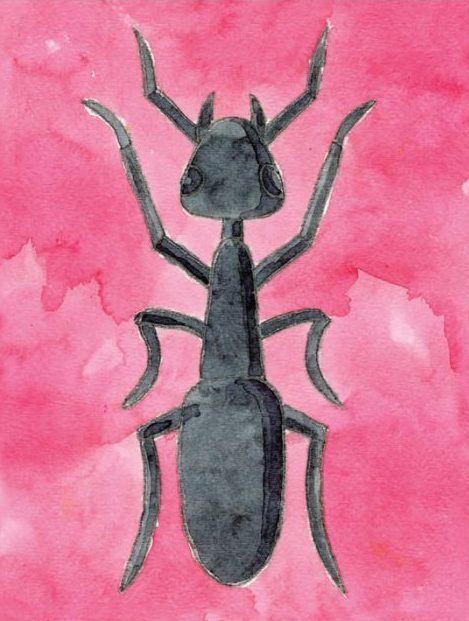 How To Draw An Ant Art Projects For Kids