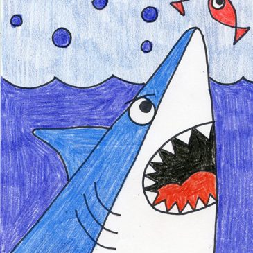 shark head drawing