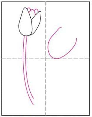 Draw a Tulip · Art Projects for Kids