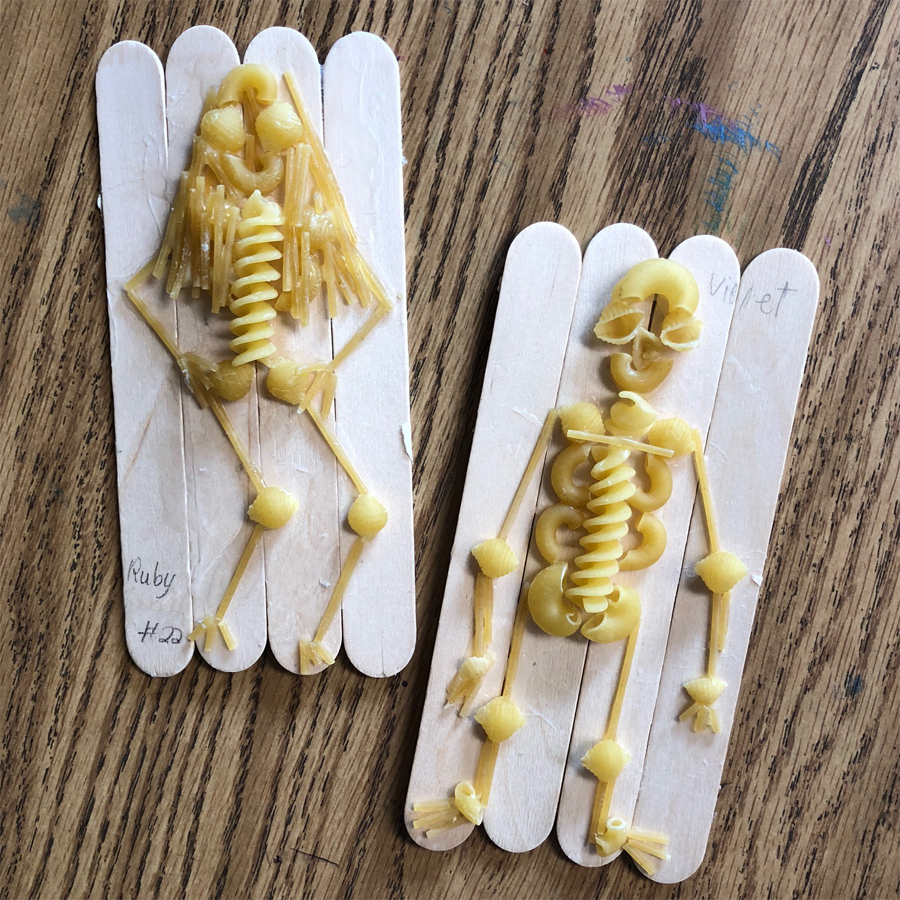 Pasta skeletons made with lots of detail.