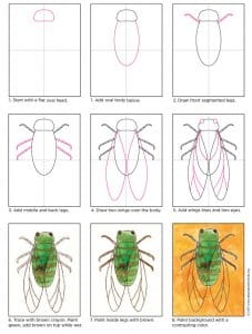 Easy How to Draw a Cicada Tutorial and Cicada Coloring Page