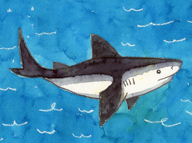 How to Draw a Shark · Art Projects for Kids