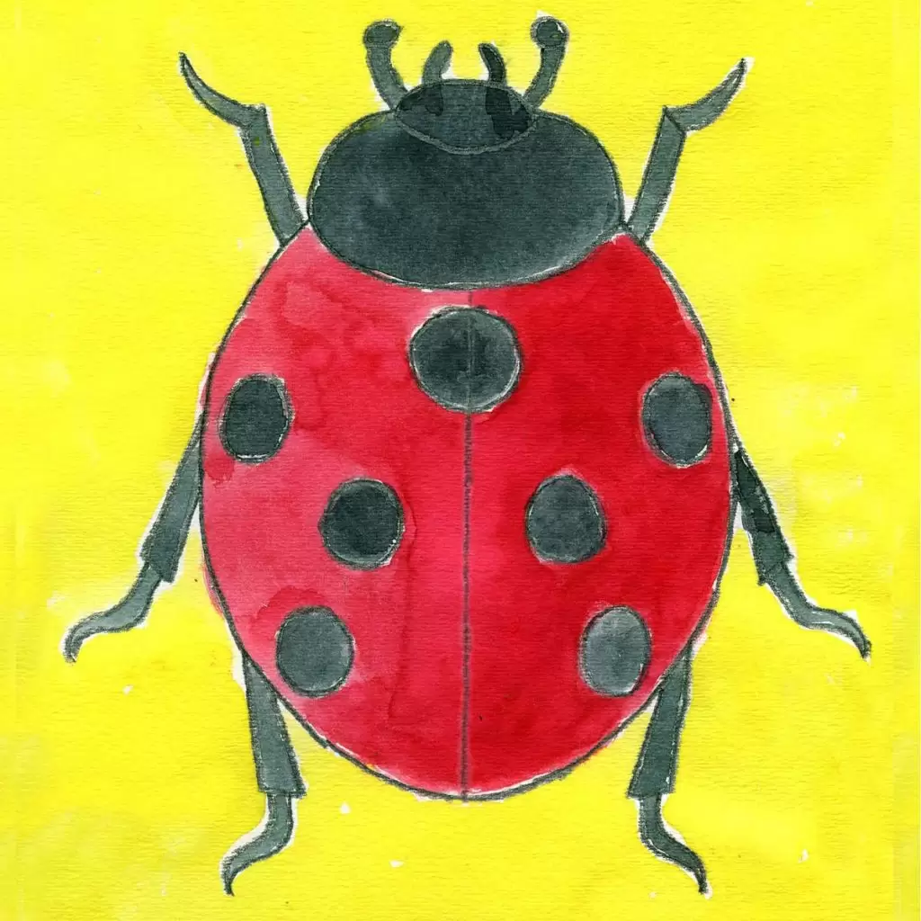 Easy How To Draw A Ladybug Tutorial And Ladybug Coloring Page