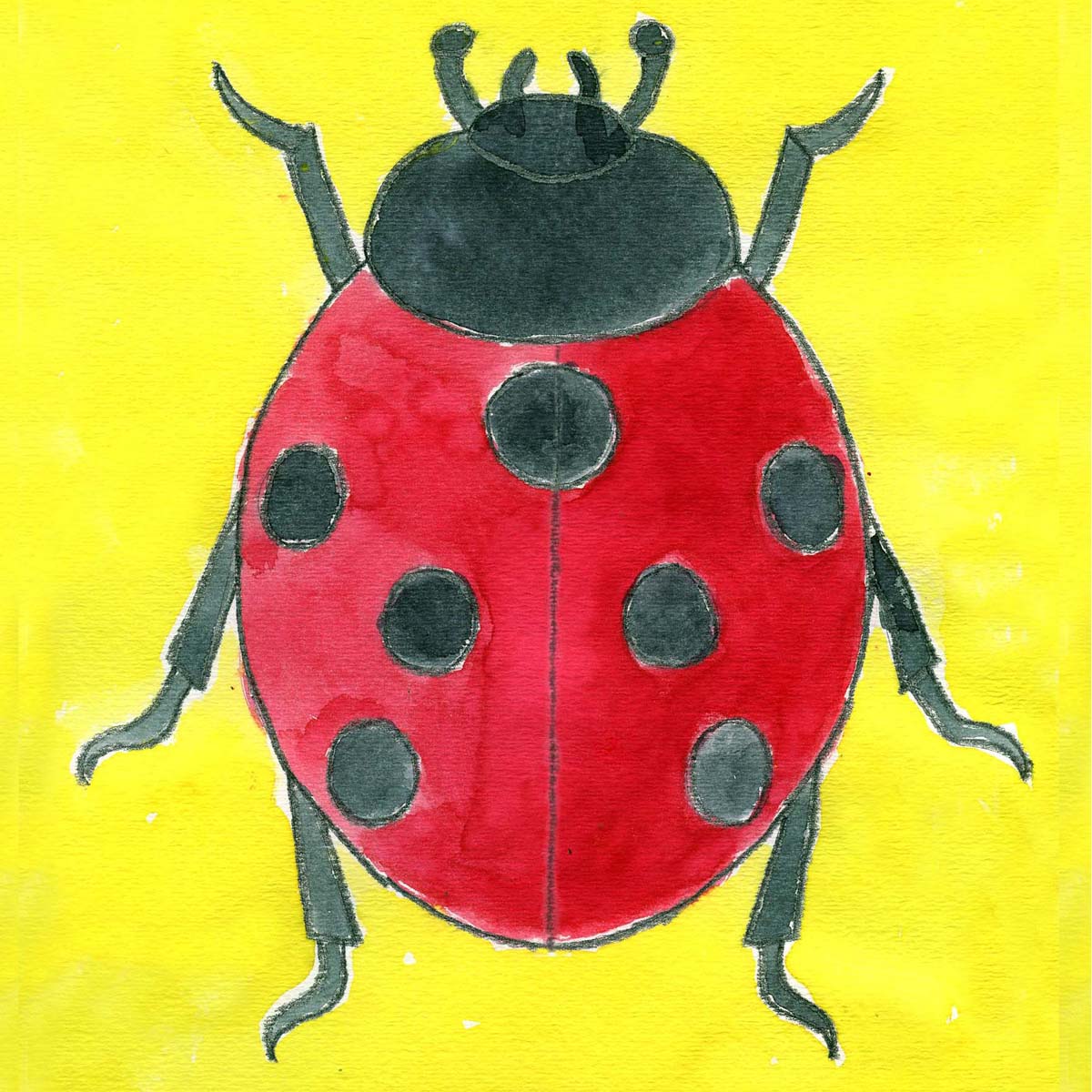 Easy How to Draw a Ladybug Tutorial and Ladybug Coloring Page — JINZZY