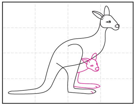 How To Draw A Kangaroo Art Projects For Kids