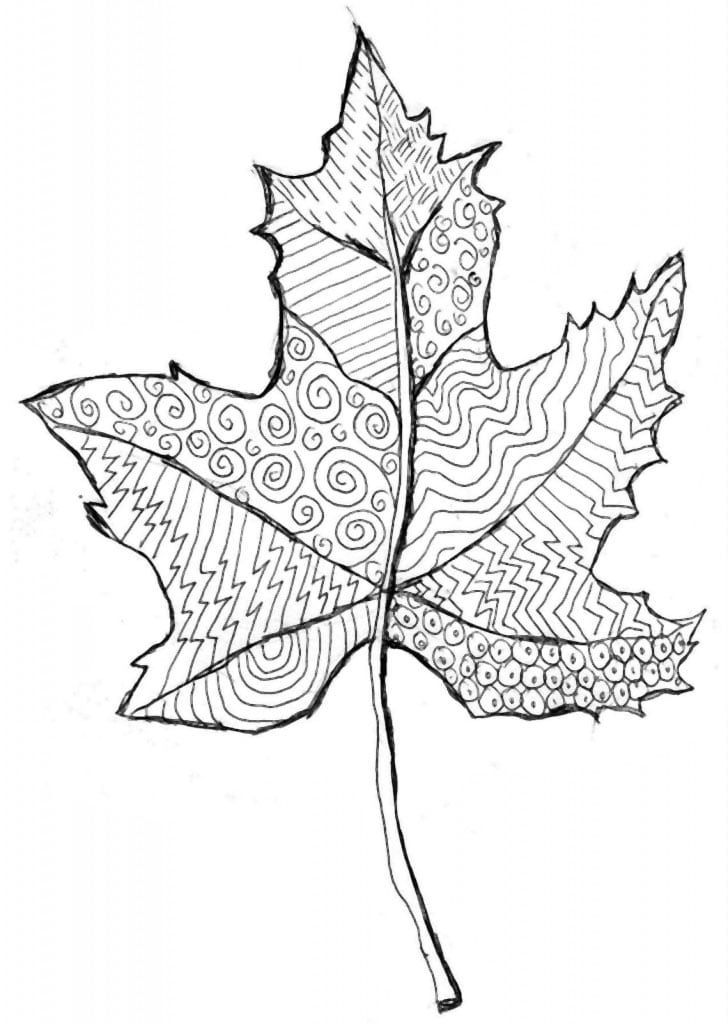 Leaf Line Drawing · Art Projects for Kids