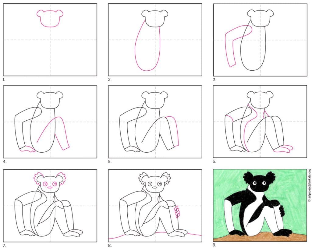 How to Draw an Indri diagram — Kids, Activity Craft Holidays, Tips