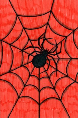 How to Draw a Spider Web: Step-by-Step