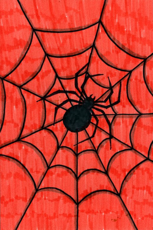 Easy How to Draw a Spider Web Tutorial