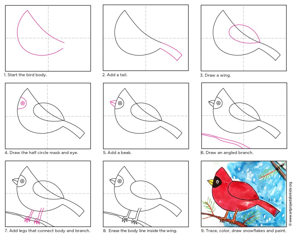 Draw a Cardinal · Art Projects for Kids