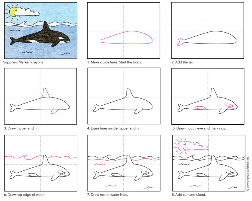 Draw a Killer Whale · Art Projects for Kids