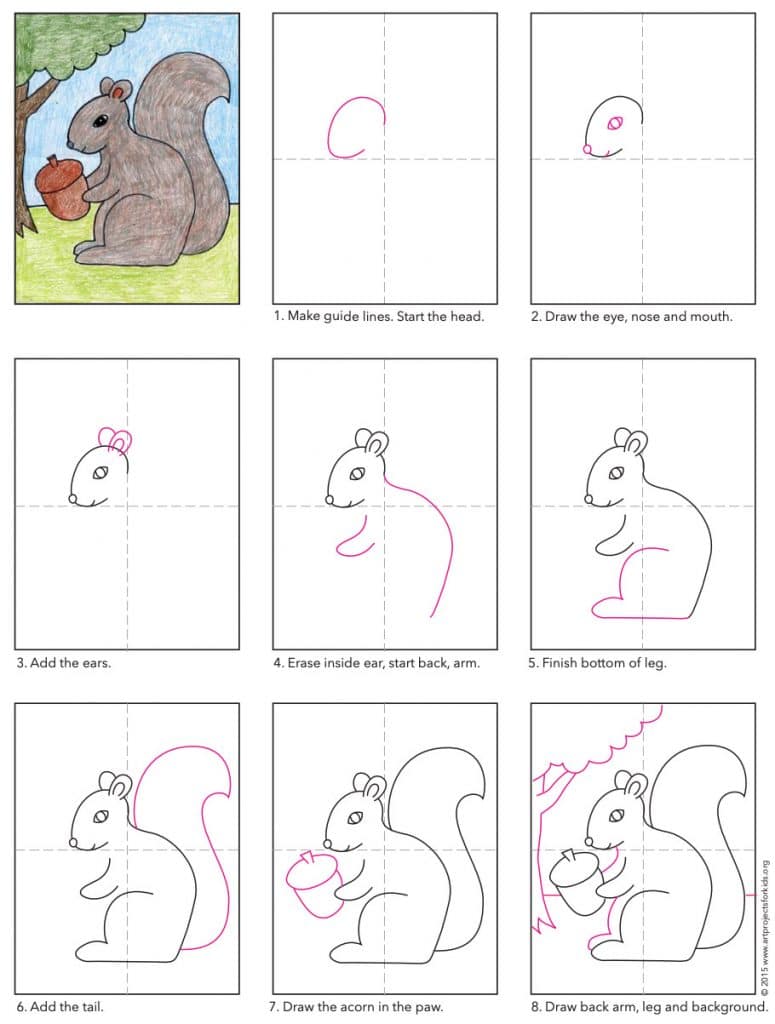 How to Draw a Squirrel Step by Step Art Projects for Kids