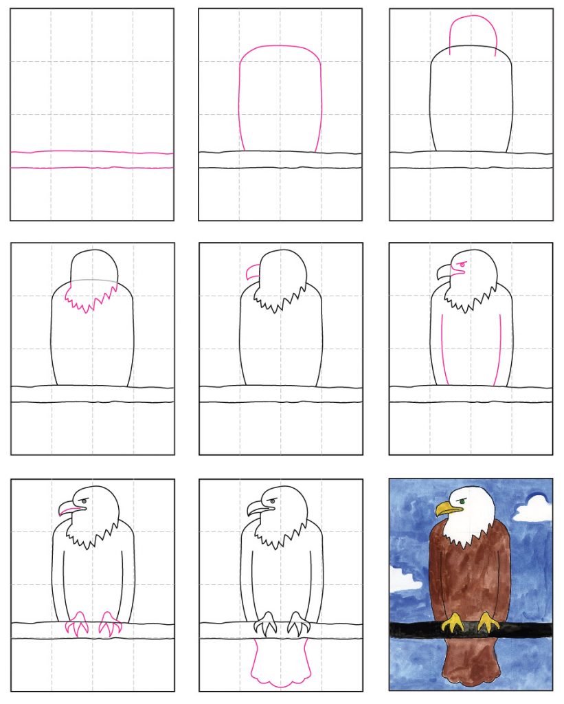 How to Draw a Bald Eagle · Art Projects for Kids