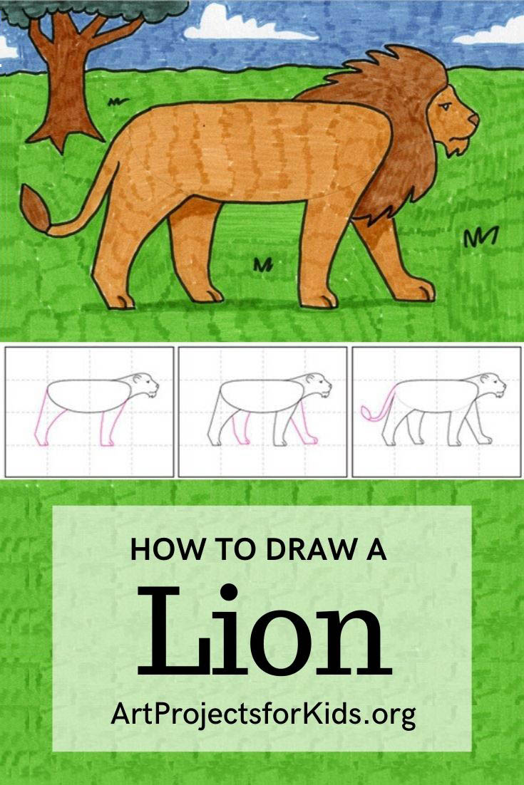 lion drawing images color