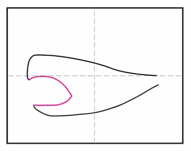 Meg 3 - Hướng dẫn cách vẽ cá mập đơn giản với 9 bước cơ bản