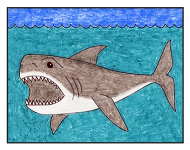 Meg 9 - Hướng dẫn cách vẽ cá mập đơn giản với 9 bước cơ bản