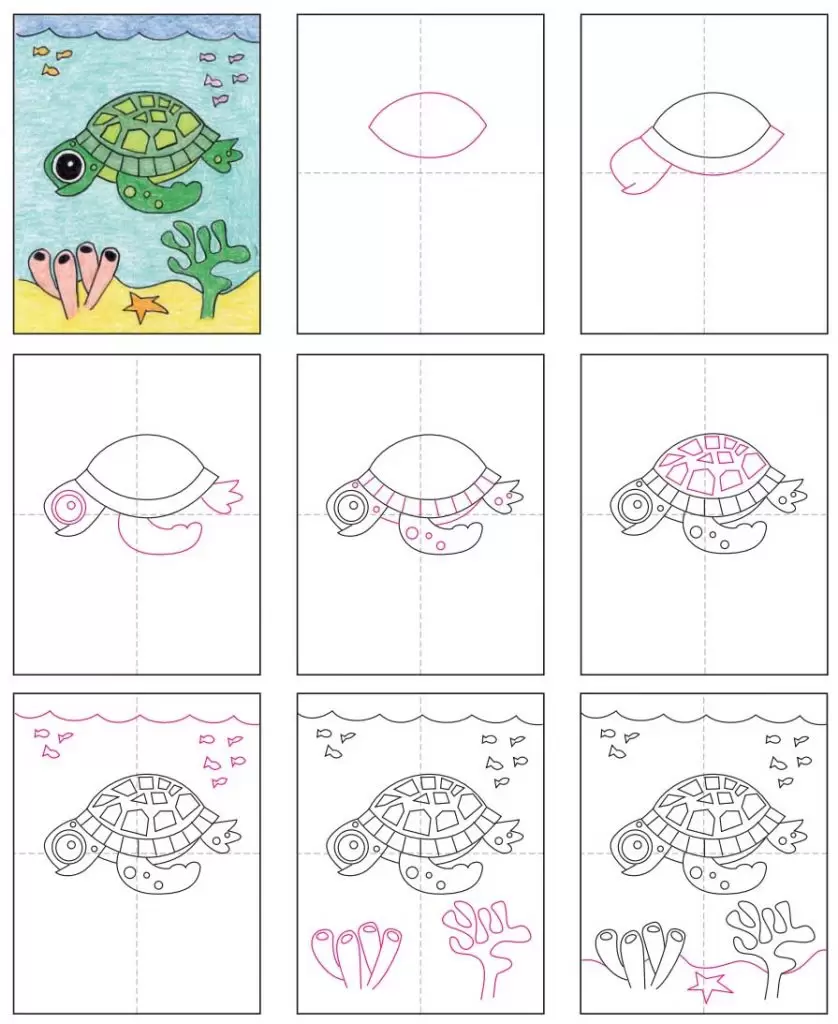 how to draw a sea turtle