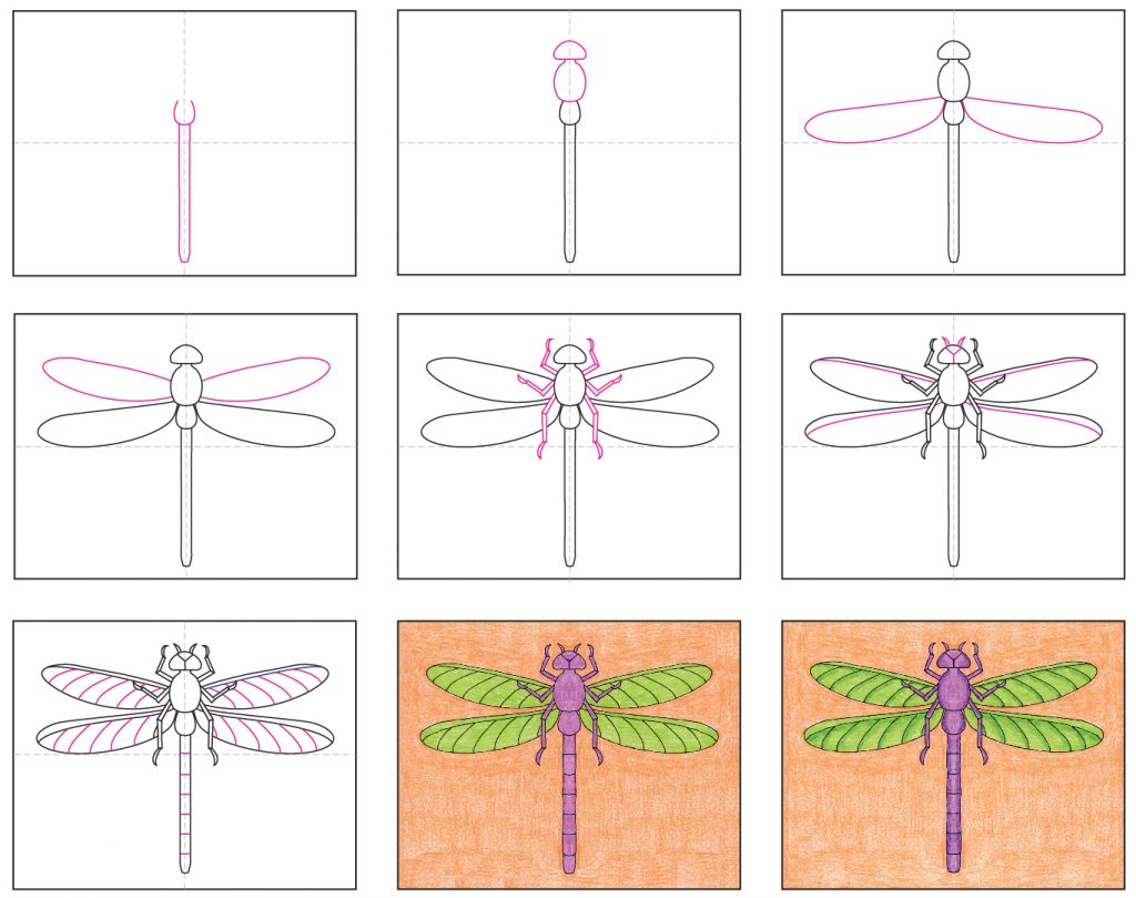 draw a dragonfly