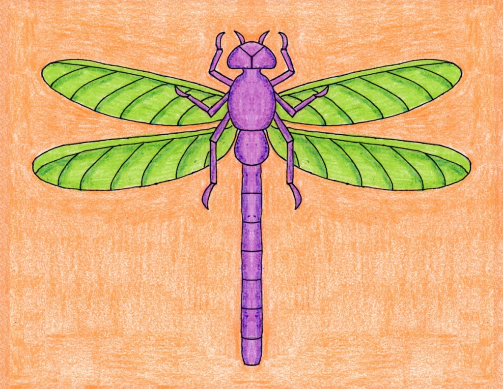 Draw a Realistic Dragonfly Art Projects for Kids